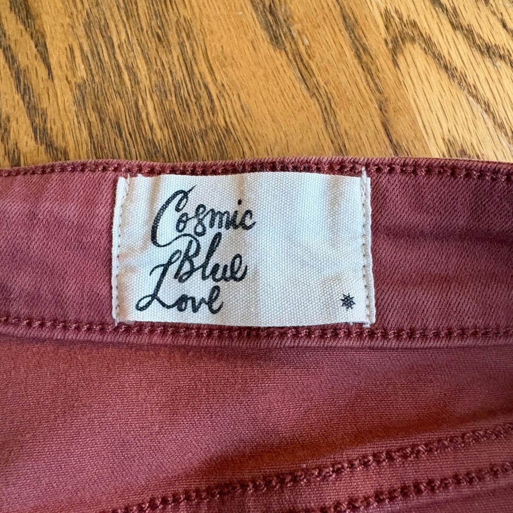 Cosmic Blue Love Terracotta Women's Size 31 Utility Straight Leg Pants - Picture 5 of 7